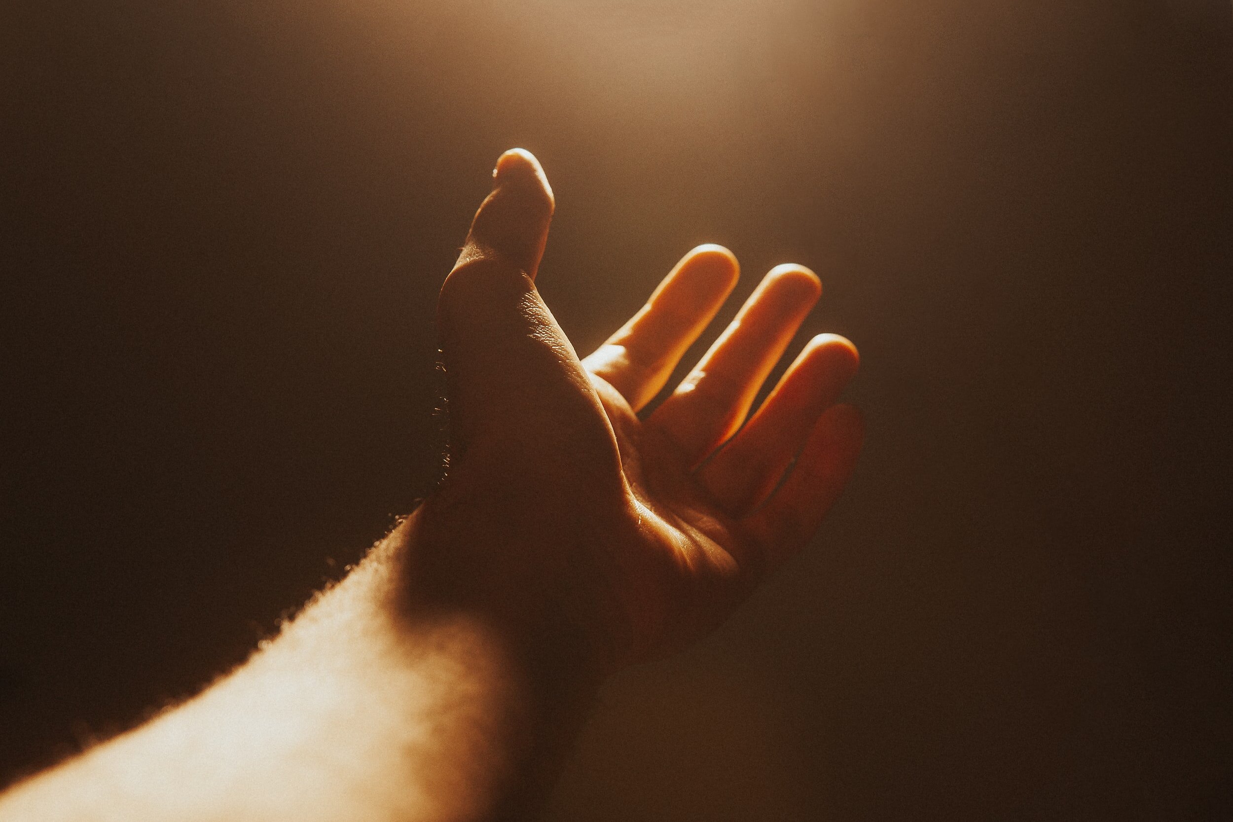 unsplash-image-2hJZF52UR9k.jpg