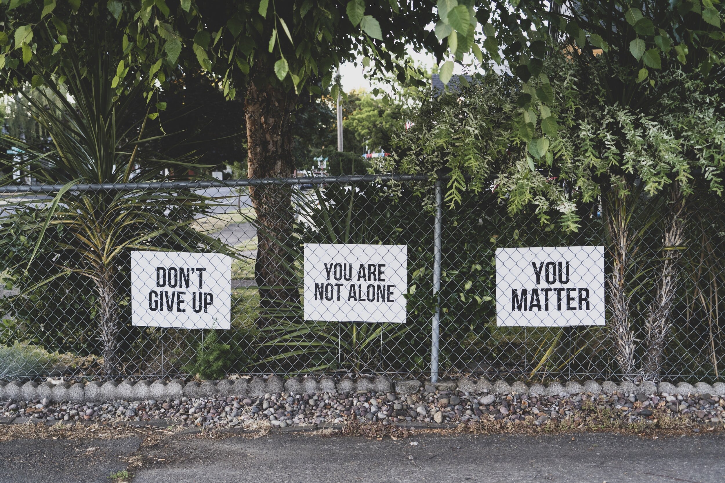 unsplash-image-hluOJZjLVXc.jpg
