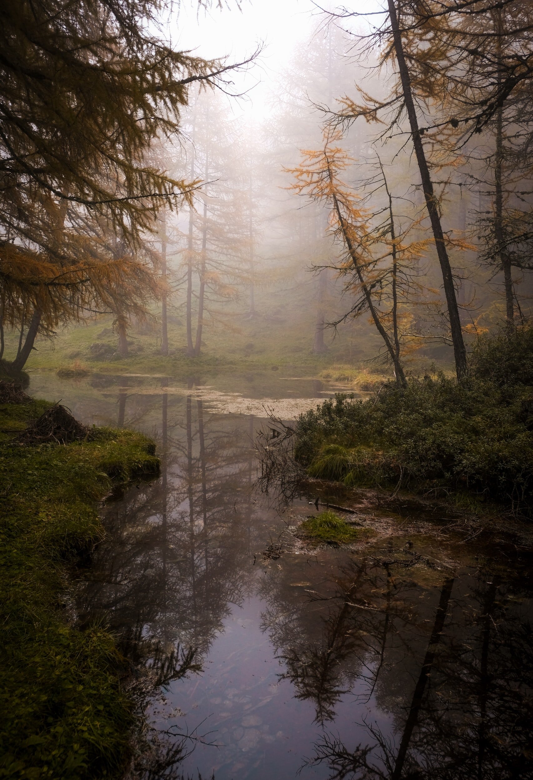 unsplash-image-PFe1P719jUw.jpg