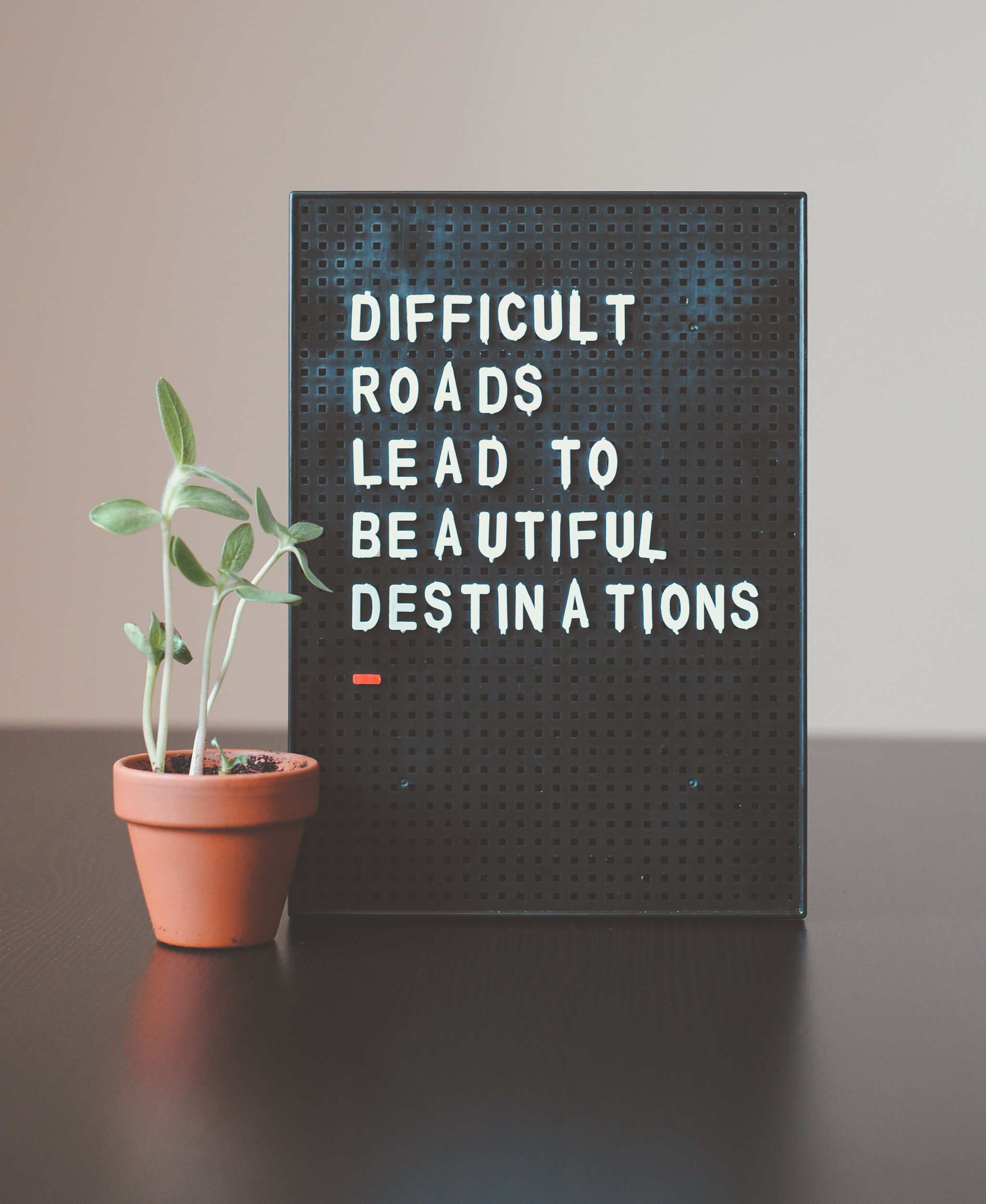 unsplash-image-z1d-LP8sjuI.jpg